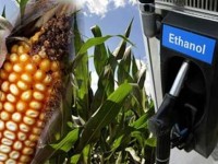 Se termina el subsidio al etanol